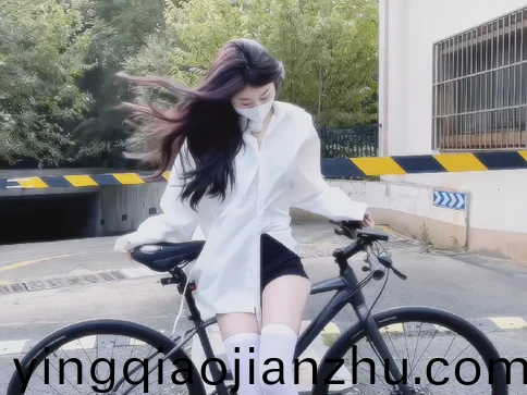 欧美成精品视频在线观看